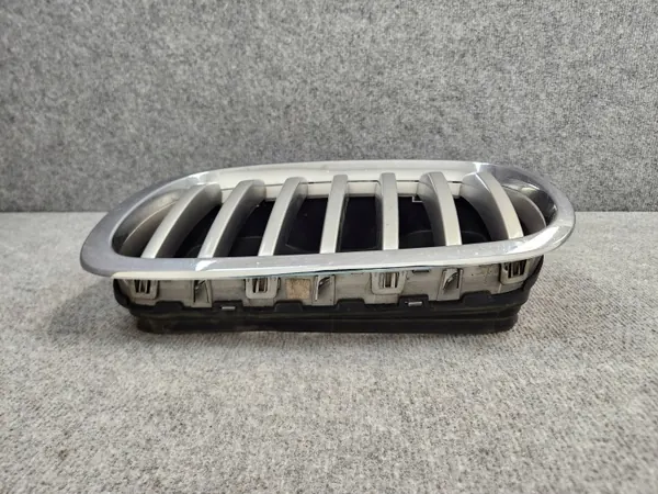 OEM 7305592 Radiatorrooster Nier - BMW X6 E71 07-14 image 8