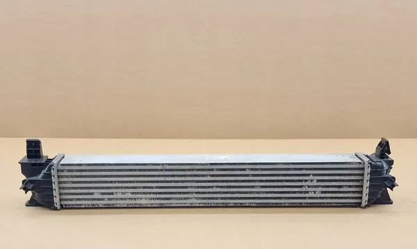 Intercooler Movano Ducato Jumper Boxer 2014-2025 image 3