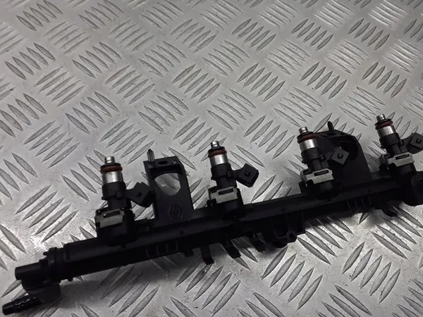 Brandstofrail Renault Modus 1.2 image 4