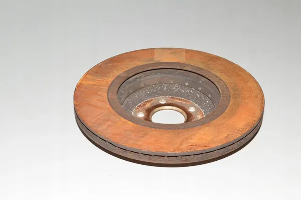 Disco de Freio Traseiro BMW X7 G07 370x24mm Direito image 3