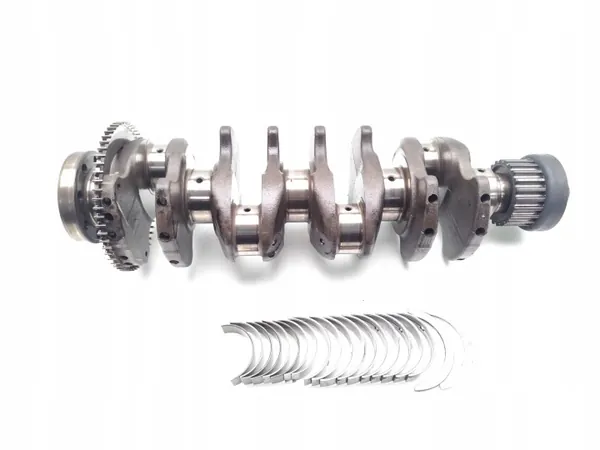 Polea de cigüeñal Vauxhall A17DTS 1.7 CDTi Diesel image 2