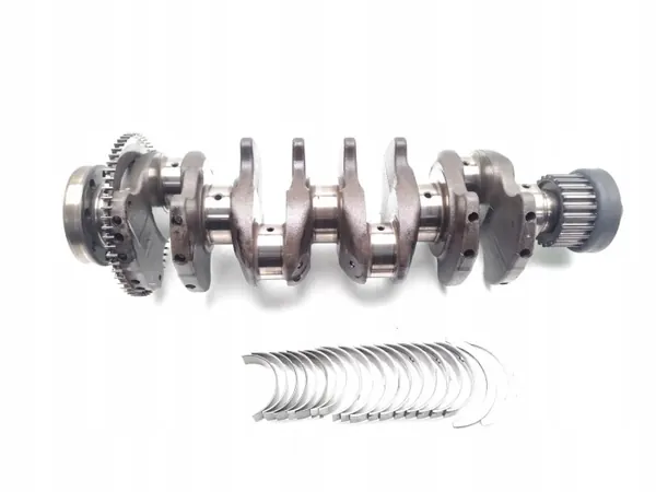Polea de cigüeñal Vauxhall A17DTS 1.7 CDTi Diesel image 9