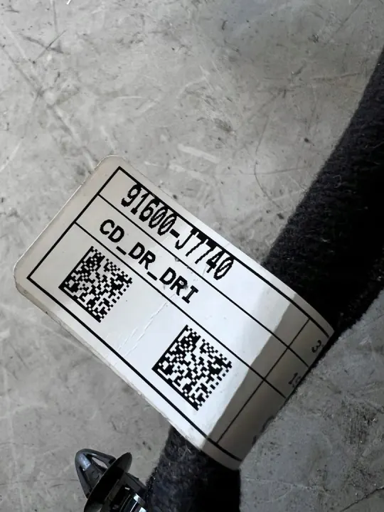 Harness Porta Esquerda Dianteira OEM XCEED Keyless image 6