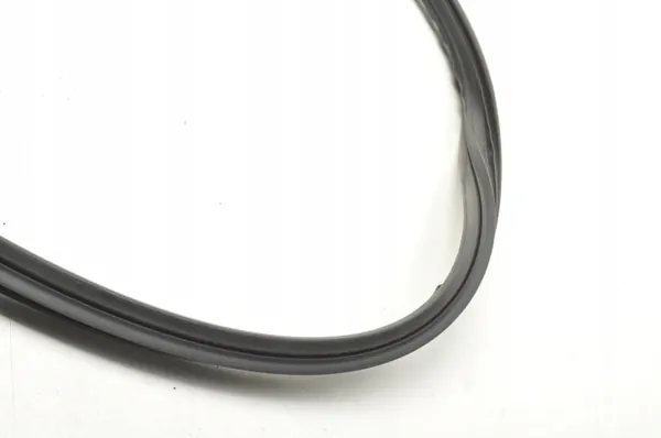 Mercedes AMG GT Deurafdichting OEM A1907270800 - Gebruikt image 6