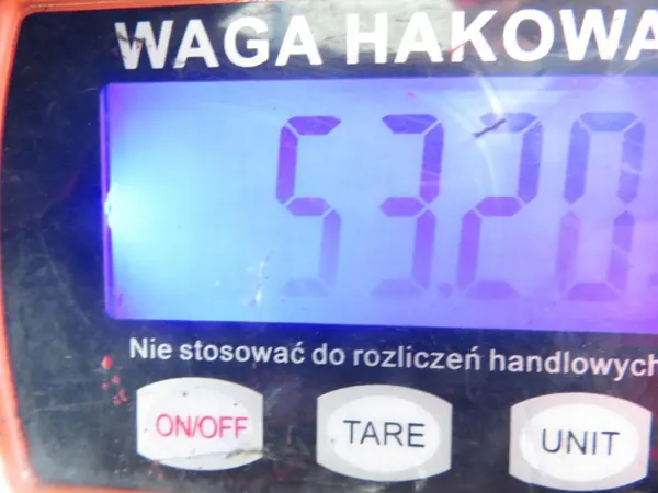 Hinterachsträger mit ABS OEM BELKA TYŁ RENAULT MEGANE I HB image 10