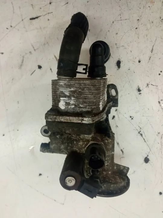 Olje Filter Hölje 2.0 HDI Citroen C4 Grand Picasso II image 3