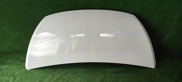 Huv OPEL VIVARO B FIAT TALENTO 93455832 image 2