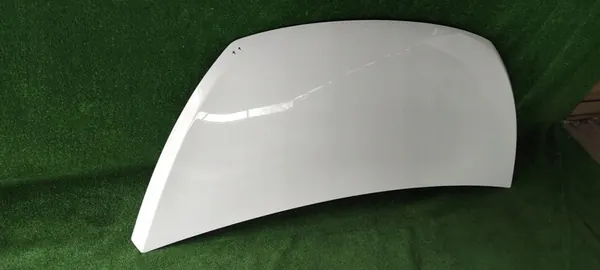 Huv OPEL VIVARO B FIAT TALENTO 93455832 image 3