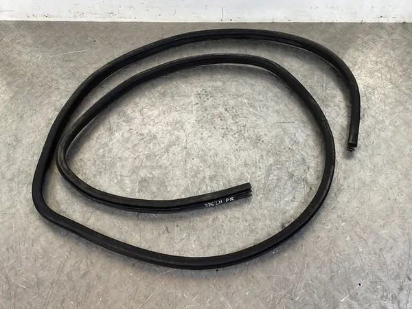 2024 Nissan X-Trail T33 Vedação da porta dianteira FOB53690 image 1