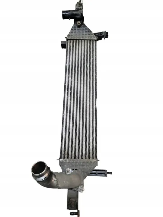 Intercooler Nissan Qashqai 1.6Dci Lift Y8396002 image 2