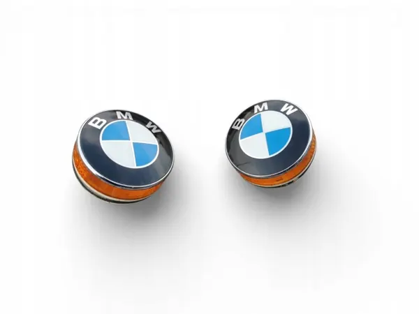Clignotant OEM 6916561 pour BMW Z4 E85/E86 Aile image 2