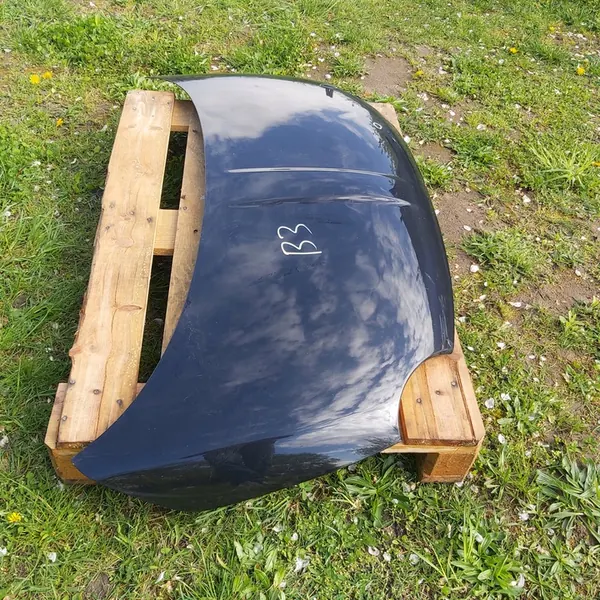 Fiat 500 Motorhuv 2007 - 2015 image 2