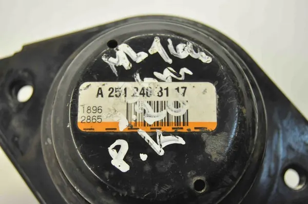 Supporto motore MERCEDES-BENZ M (W164) A2512403117 image 4