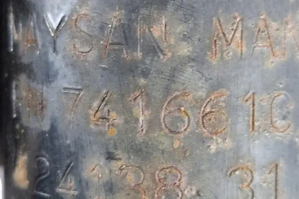 Ammortizzatore posteriore destro KIA VENGA 2013 553001K000 image 2