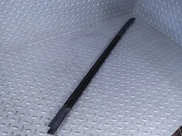 OEM 7446205 Vänster Bakdörrsskyddslist BMW X6 G06 image 4