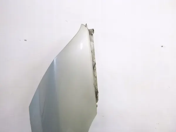 Parafango destro Renault Espace IV 2004 image 2