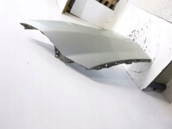 Parafango destro Renault Espace IV 2004 image 4