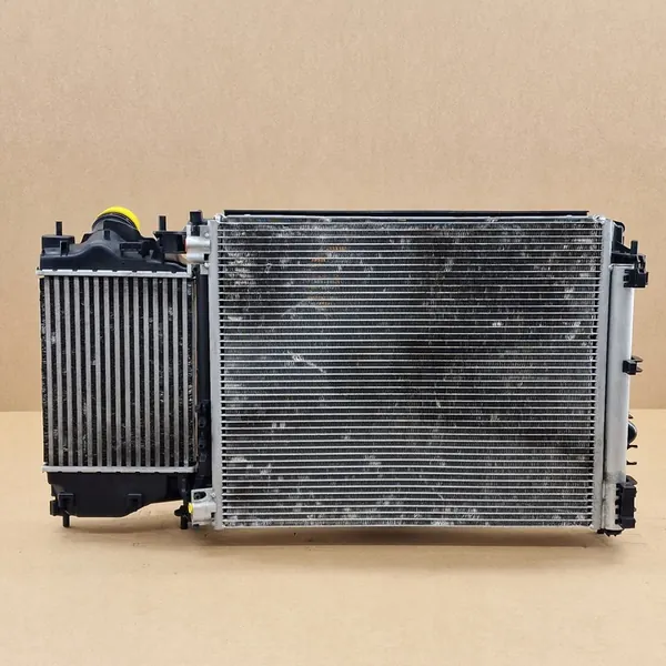 Conjunto de ventilador de refrigeración Renault Megane VI Scenic IV Talisman image 6