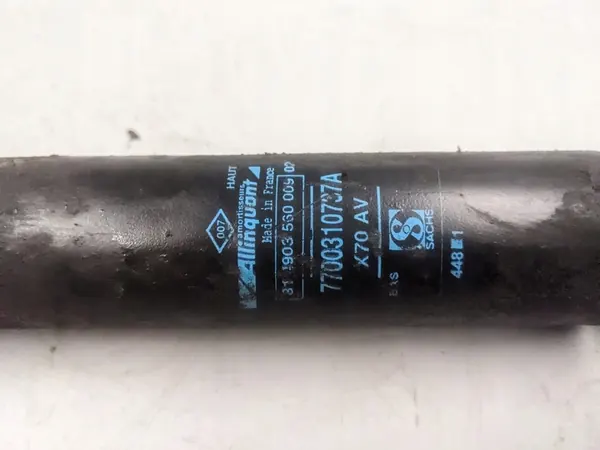 Ammortizzatore Posteriore MASTER II 7700310737 OEM image 2