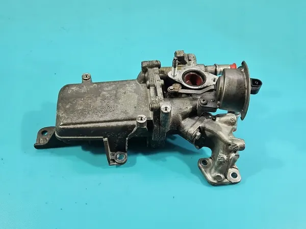 Pakokaasujäähdytin Renault Master III 2.3 DCI image 5