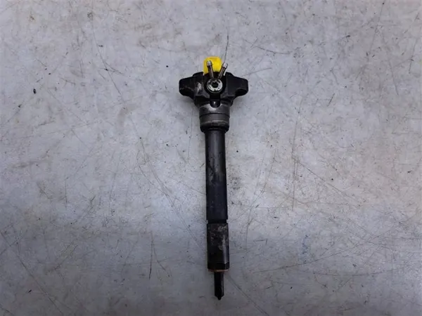 Injector E46 98-07 R para BMW Série 3 2.0D 136CV image 2