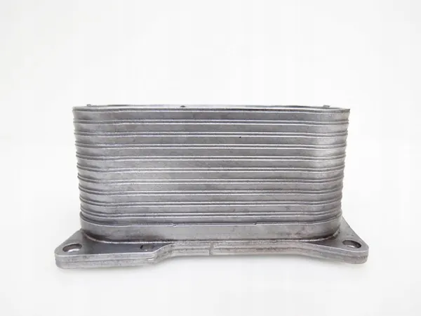 Oliekoeler Mercedes W218 W212 4.7 V8 A2781880401 image 3