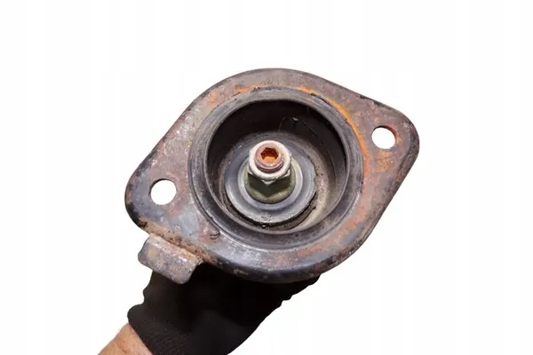 Ammortizzatore posteriore destro INFINITI FX 2004 image 2