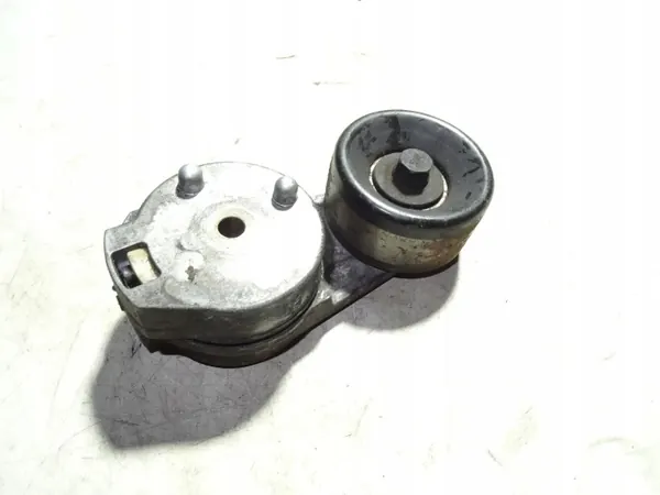 Tensor de cadena de distribución OEM 3W436B209AA Jaguar image 2