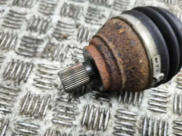 Audi Q3 F3 2019 bakruta OEM AMD119554 image 7