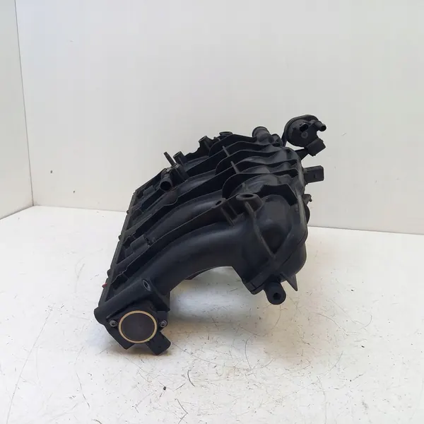 2009 Volkswagen Golf VI Ansaugkrümmer 061331850DF image 5