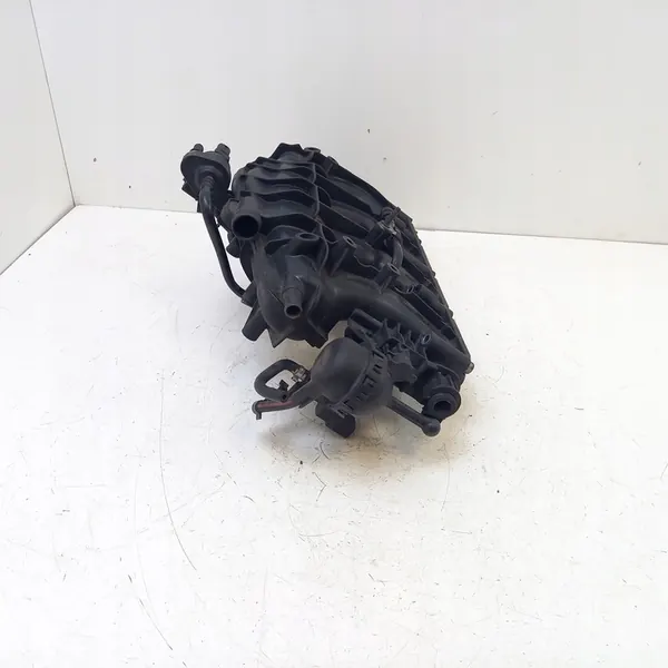 2009 Volkswagen Golf VI Ansaugkrümmer 061331850DF image 7