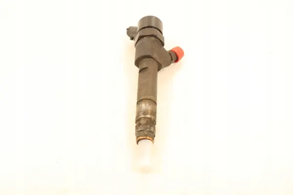 Injecteur OEM 0445110110B pour Renault Espace IV 1.9DCI image 3
