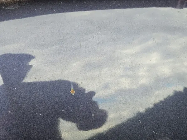 TOYOTA RAV4 06-12 MASK 9AF OEM 53301-42070 image 2