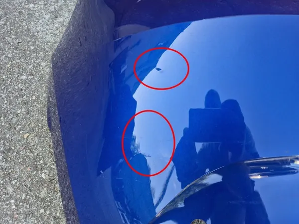 Paraurti posteriore Renault Clio V 19- RS Line image 3