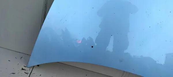 CITROEN C3 I 02-09 Tampa do motor image 3