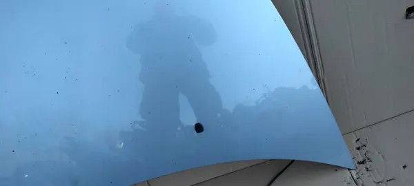 CITROEN C3 I 02-09 Tampa do motor image 4