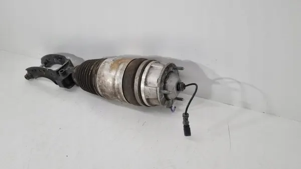Porsche Luchtveer OEM 7P5616039AP Voor Links image 6