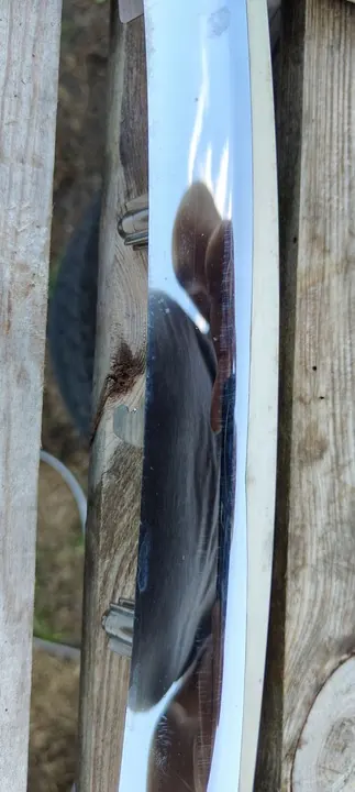 RENAULT CAPTUR LIFT 17-20 CHROME GRILLE 620789602 image 9