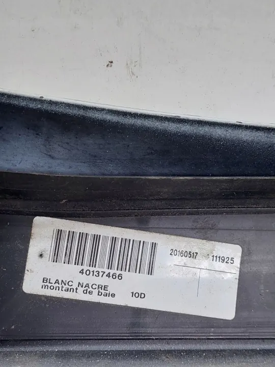 OEM 768349558R Cubrepilar derecho para Scenic III image 3