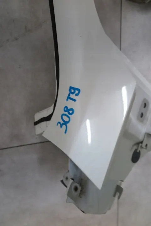 OEM POSZYCIE SŁUPEK DACHOWY LEWY PRZÓD PEUGEOT 308 T9 image 3