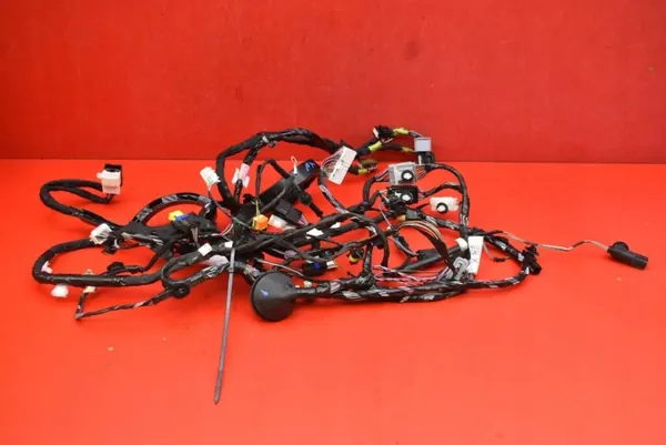 Cableado Puerta Trasera Derecha OEM 1032882-80-F Tesla X image 6