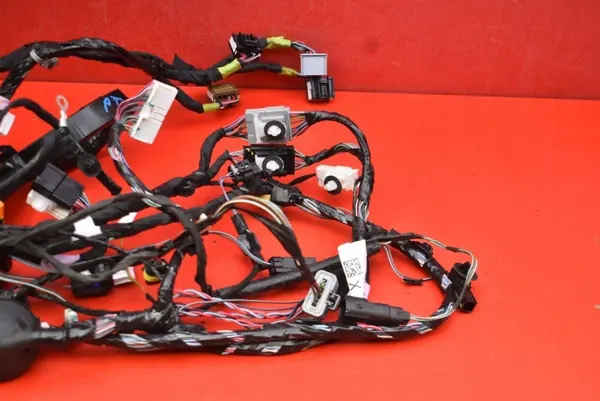 Cableado Puerta Trasera Derecha OEM 1032882-80-F Tesla X image 8