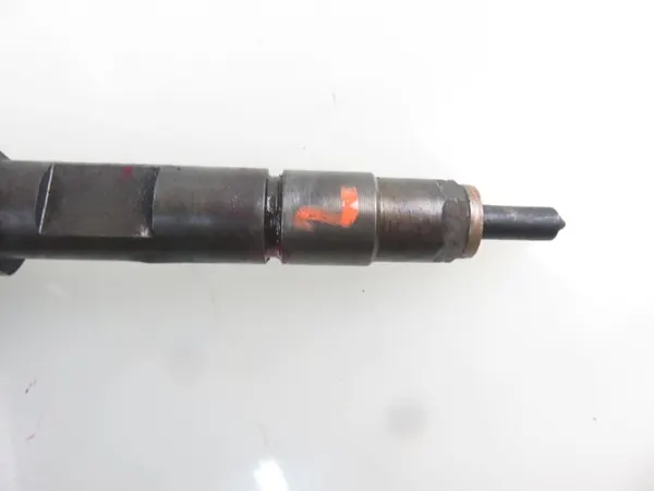 Inyector 0 445 110 021 Bosch image 4