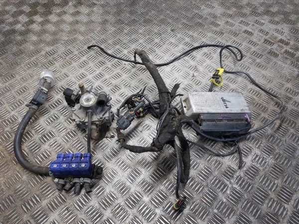 Kit LPG OEM 67R-014289 pour Moteurs 4 Cylindres image 2