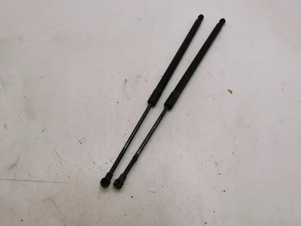 BMW X5 E53 2006 Bakluck Aktuator image 4