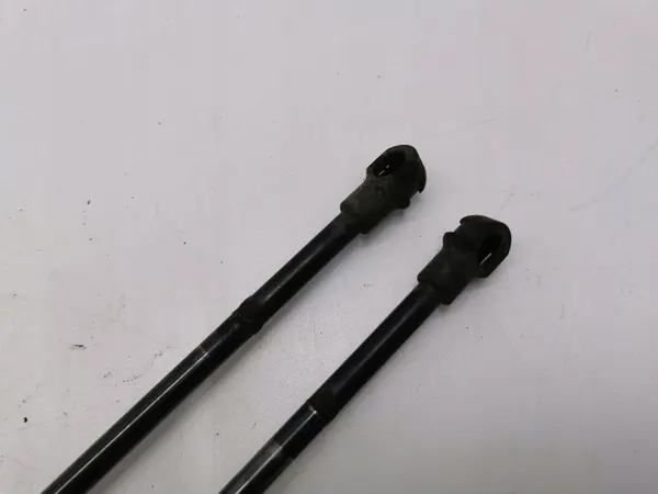 BMW X5 E53 2006 Bakluck Aktuator image 6