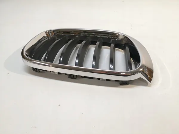 Grill Kidney BMW X3 F25 X4 F26 15- Right image 3