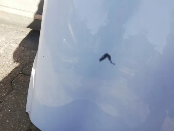 Fram Höger Skärm Peugeot 206+ 2009- OEM 7841Z5 image 5