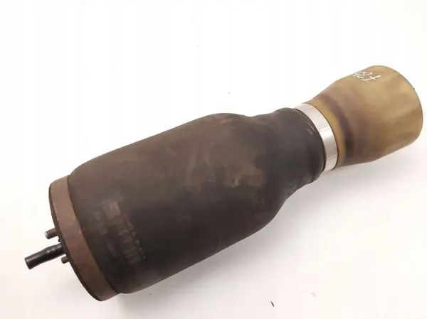 Borsa per Sospensione Pneumatica Posteriore BMW X5 E53 2005 image 5