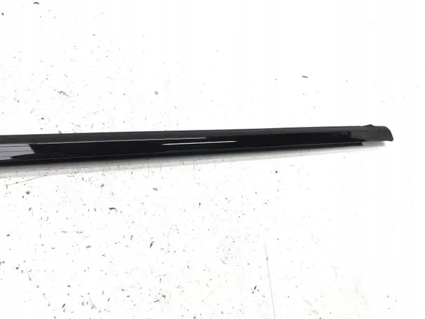 BYD SEAL 2024-2025 Raspador Porta Dianteira Direita Preto image 3